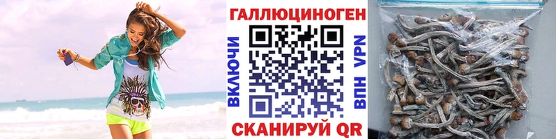 Псилоцибиновые грибы Psilocybine cubensis  сколько стоит  Агрыз 
